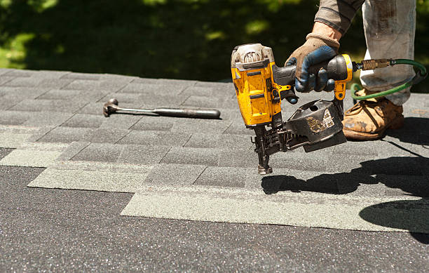 Roof Moss and Algae Removal